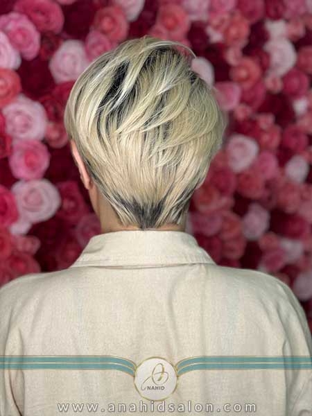 پیکسی فانتزی