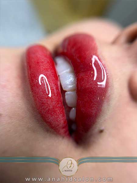 گالری آرایش دائم