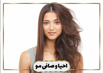 گالری احیا و صافی مو