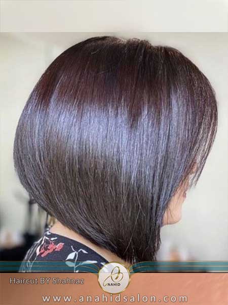 مدل باب گرجوئیشن